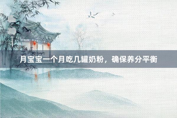 月宝宝一个月吃几罐奶粉，确保养分平衡